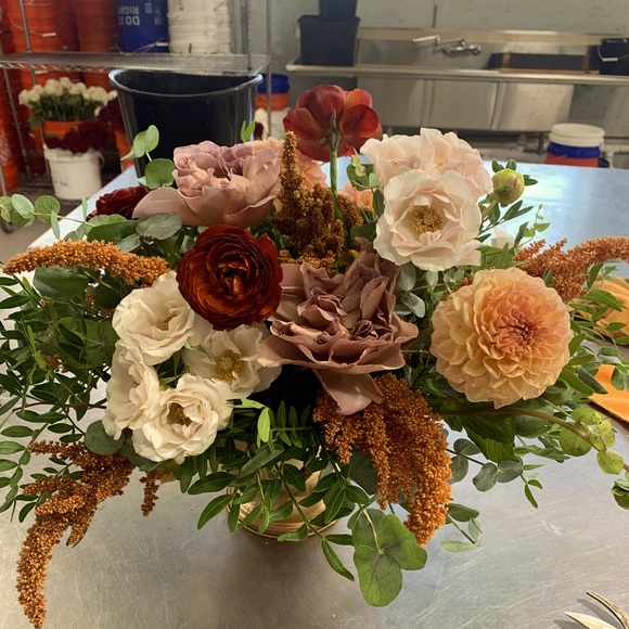 Meet your Posher, Corrin - Picture 2 of 3